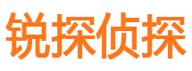 汉台市侦探公司